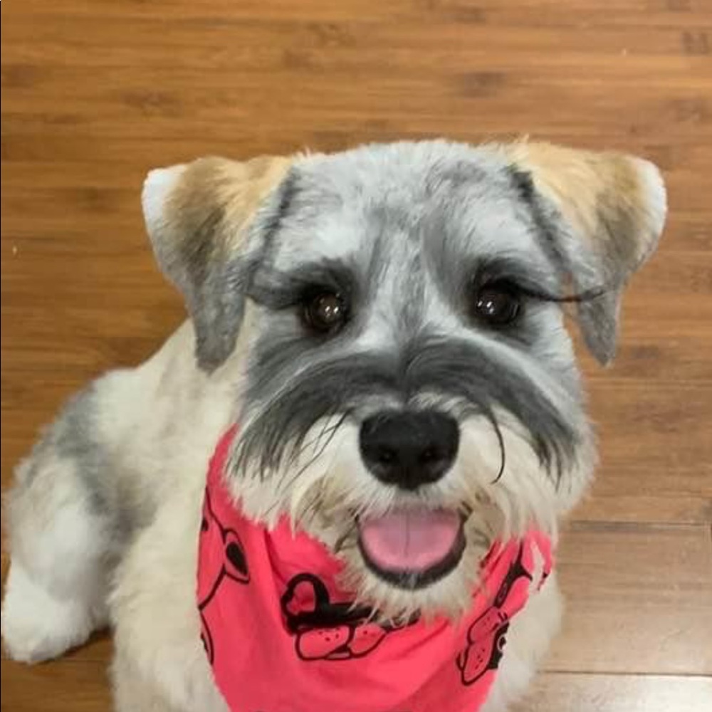 Meet your Posher, Juana